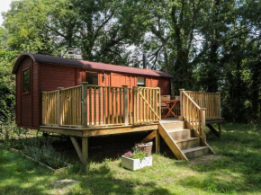 The Foxes Den Shepherds Hut